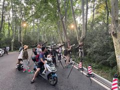 -紫金山山顶公园