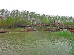 -溱湖国家湿地公园