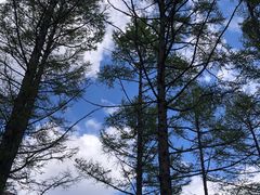 -白草畔自然风景区