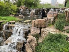 -天鹅湖体育公园