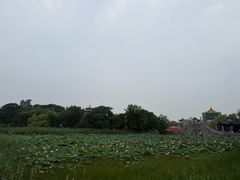-中国翰园碑林