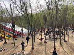 -西部长青自然儿童乐园