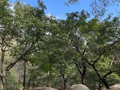 -大岭沟猕猴桃谷风景区