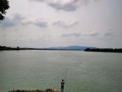 -江门古劳水乡旅游区