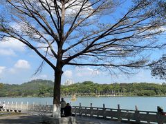 -番禺大夫山森林公园