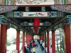 -迎泽公园