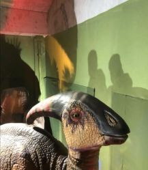 -恐龙探索乐园(磁器口店)