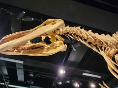 -墨尔本博物馆(Melbourne Museum)