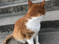 -九华山友谊土菜馆 小资餐厅