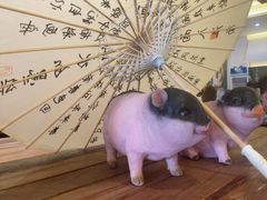 -春家·非遗手工小吃(徐汇万科广场店)