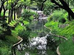 -北坞公园