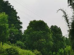 -重庆彩云湖湿地公园