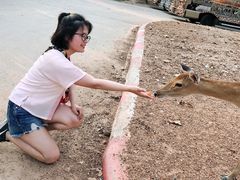 -清迈夜间动物园