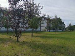 -呼兰河口湿地公园