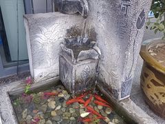 -蒲锦源烩饼(蒲城店)