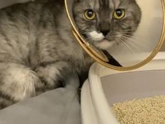 -萌兽医馆·犬猫专科·眼科中心·宠物医院(朝阳门分院)