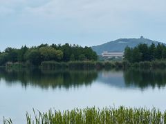 -长广溪湿地公园