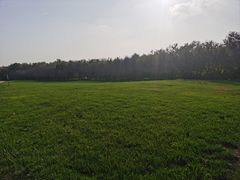 -塘沽森林公园