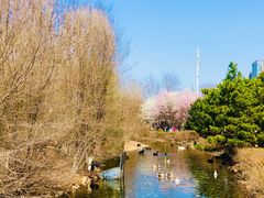 -长白岛森林公园