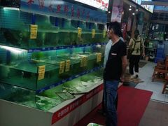 水产区-坛南湾阿强农家乐.海鲜大排档老字号(福州地标美食店)
