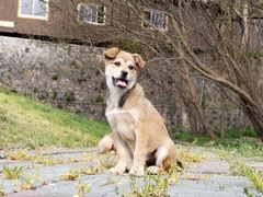 -南京金牛湖风景区