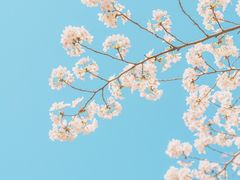 -闵行体育公园(七宝镇)