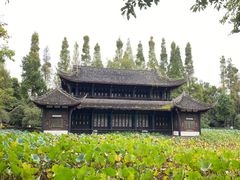 -桂湖森林公园