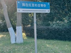 -红豆杉庄会议中心