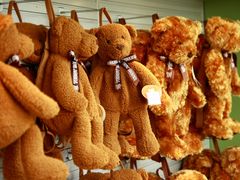 -济州岛泰迪熊博物馆