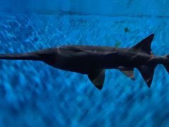 -石林冰雪海洋世界