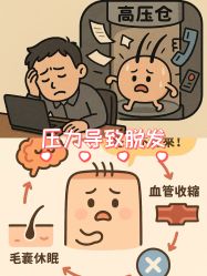 -Bollins波林丝•专研护发中心