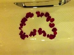 iphone_upload_pic-太湖湾开元名庭大酒店