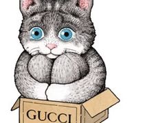 -Gucci(重庆IFS店)