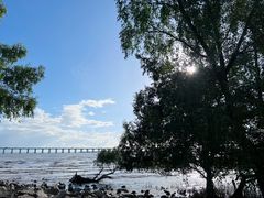 -宝安西湾红树林湿地公园