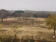 -盘龙城遗址博物院