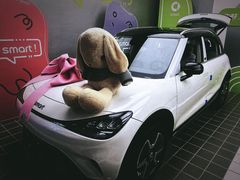 -上海浦东smart汽车全功能店(金桥店)