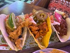 -Famous肥猫墨西哥音乐餐吧(五棵松华熙LIVE店)