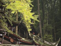 -青城山