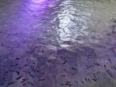 -杭州第一世界大酒店·云曼温泉