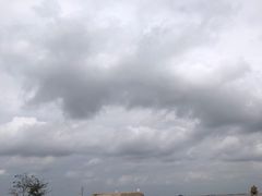 -上海滨江森林公园