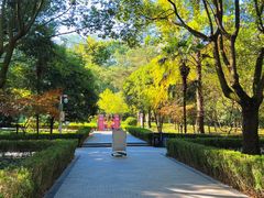 -上海佘山国家森林公园天马山园