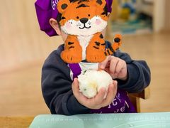 -豆初托育园 Baby Bean Day care Center