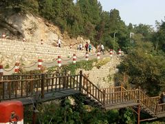 -原山国家森林公园