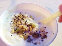 牛奶鸡蛋醪糟-清真老马家国华牛奶鸡蛋醪糟(正宁路店)