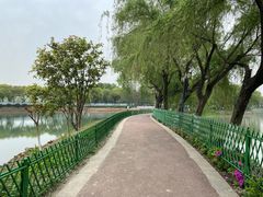 -金银湖国家城市湿地公园