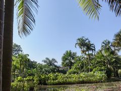 -中国科学院西双版纳热带植物园