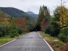 -莫干山风景区