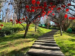 -七彩云南古滇温泉山庄