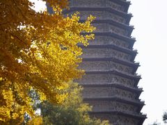 -玲珑塔公园