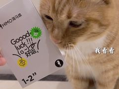 -海马体照相馆(大连罗斯福广场店)